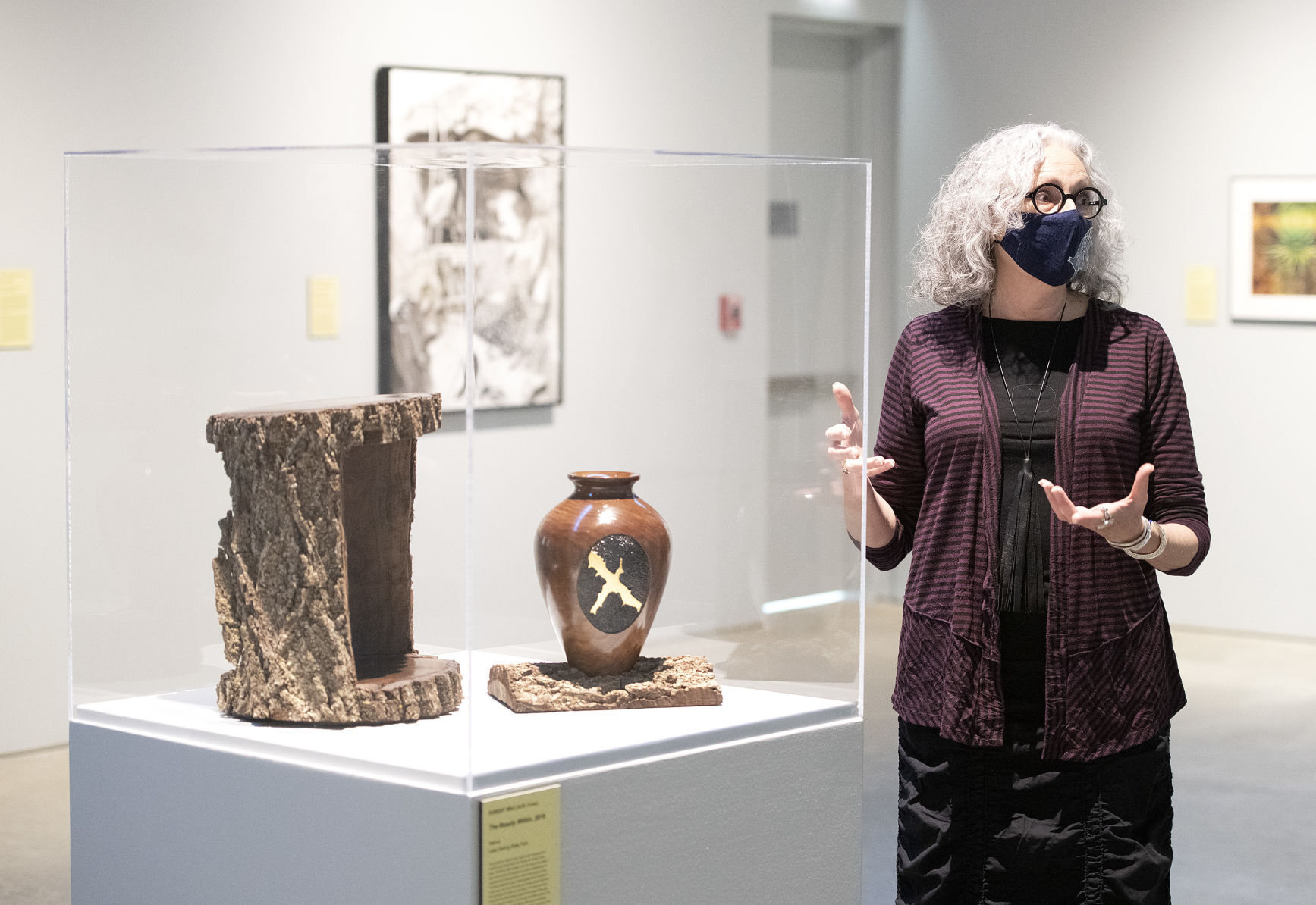 Sioux City Art Center 20 Artists, 20 Parks exhibit